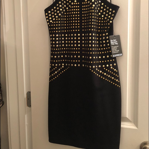 Express New Party Dress - Picture 3 of 3